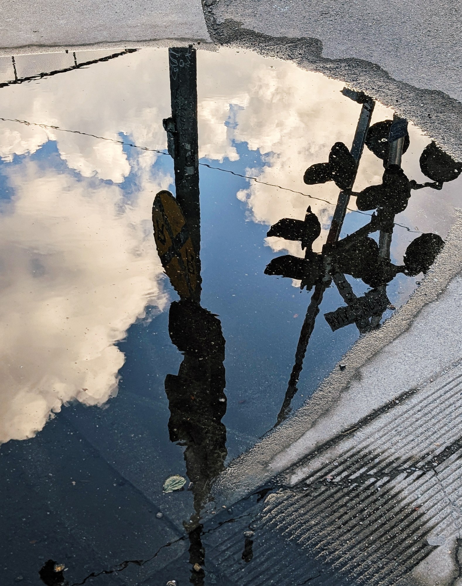 Reflection of the sky in a puddle
